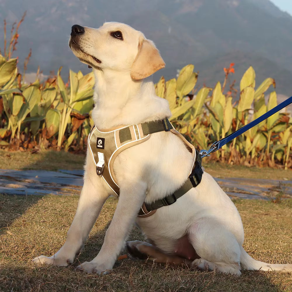 TekPaws SafeStride Reflective Harness