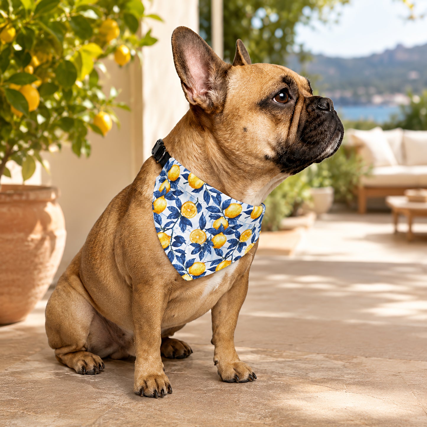 TekPaws Citrus Coast Bandana