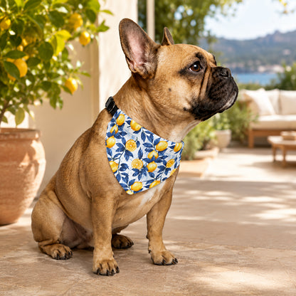 TekPaws Citrus Coast Bandana