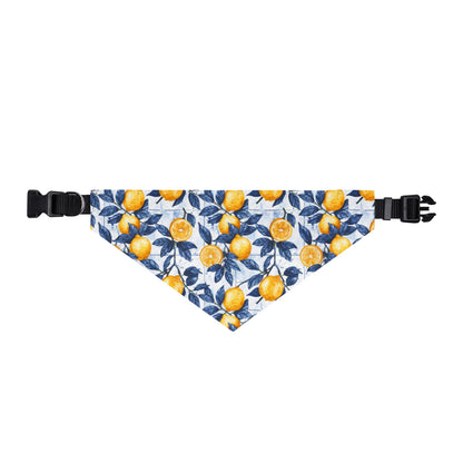 TekPaws Citrus Coast Bandana