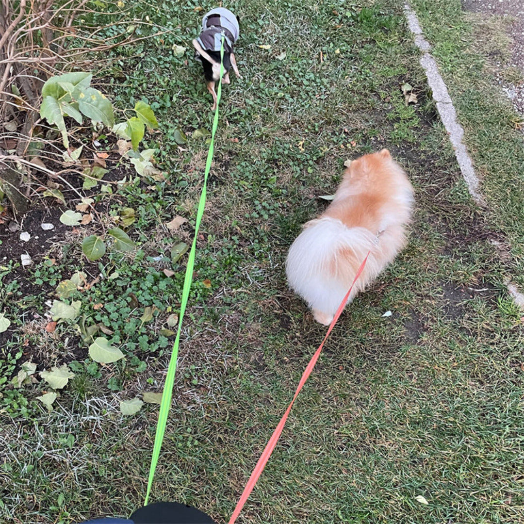 TekPaws Automatic Double Dog Leash