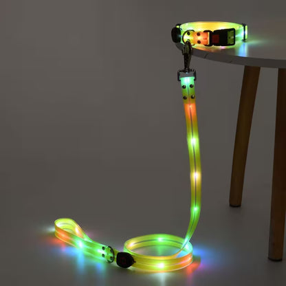 TekPaws LED Luminous Rechargeable Dog Collar