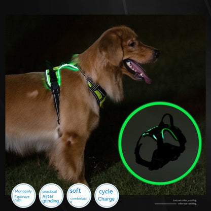 TekPaws LED Luminous Dog Harness