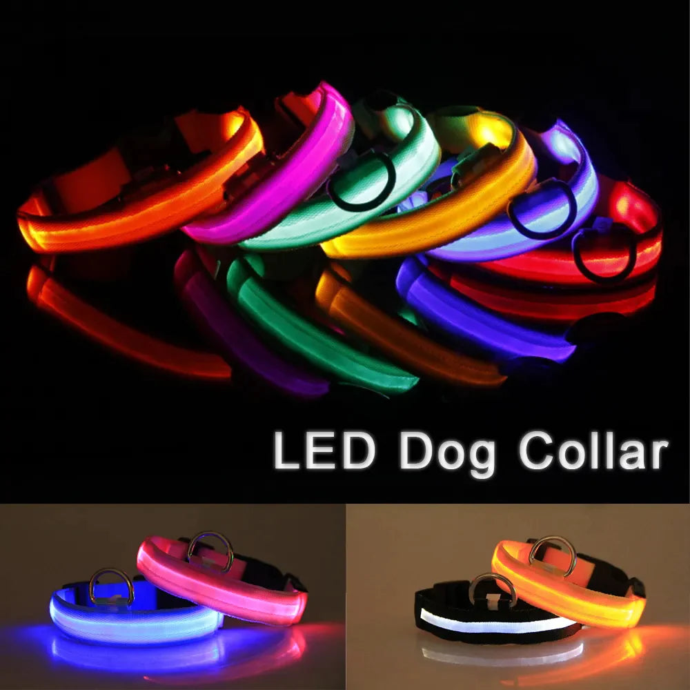 TekPaws Glow Collar