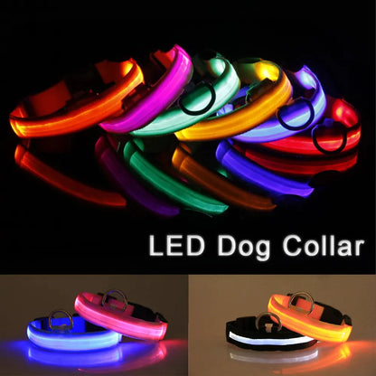 TekPaws Glow Collar