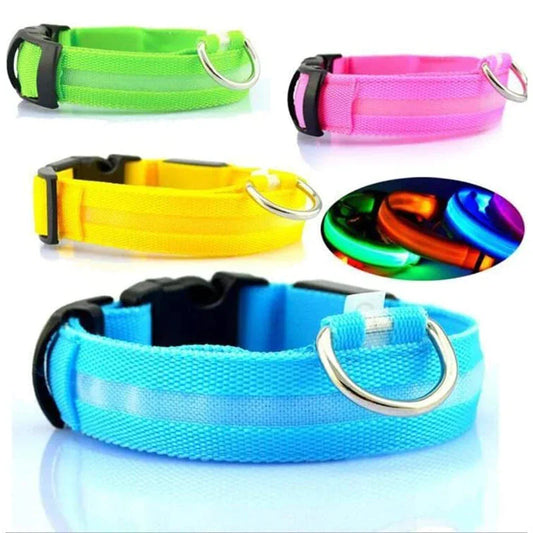 TekPaws Glow Collar – Stay Seen