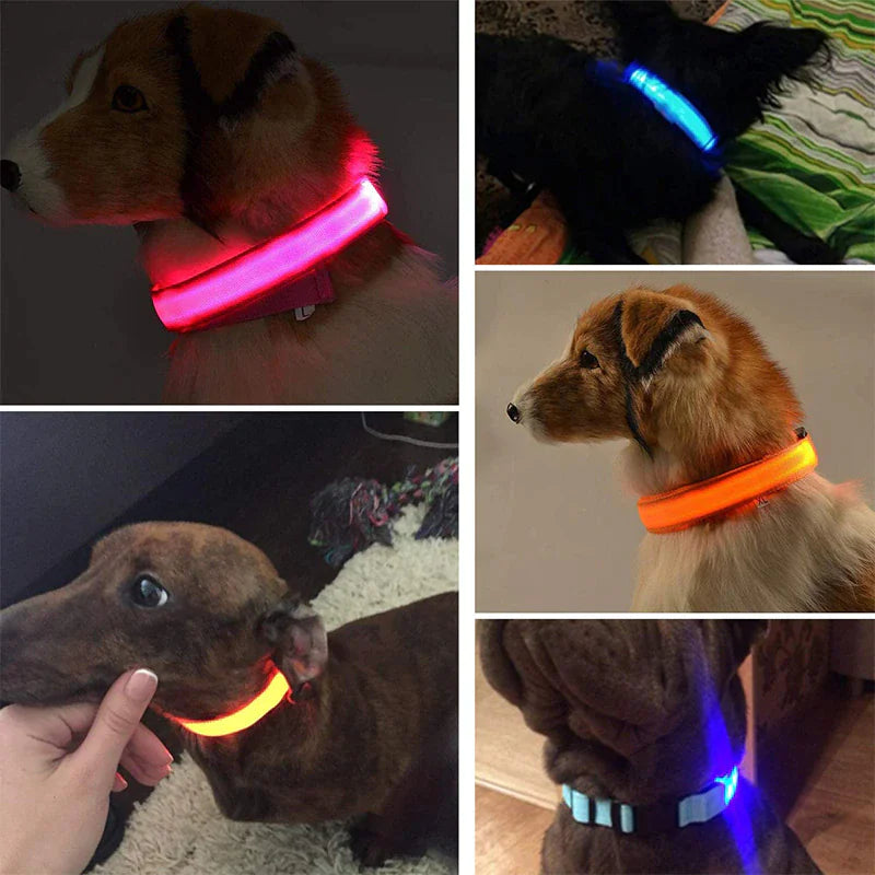 TekPaws Glow Collar
