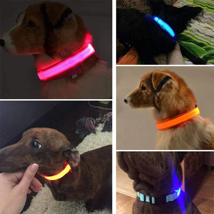 TekPaws Glow Collar