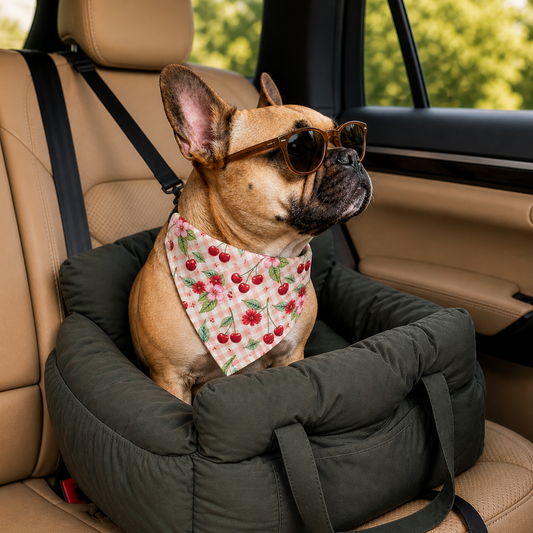 TekPaws Co-Pilot Comfort Car Seat
