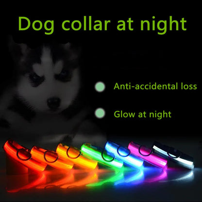 TekPaws Glow Collar
