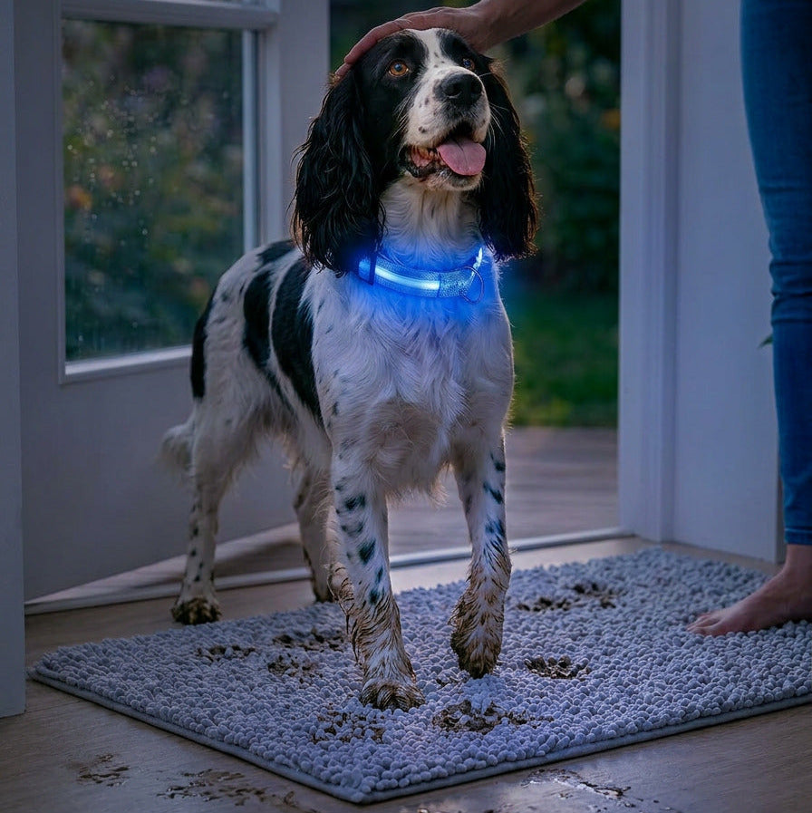 TekPaws Glow Collar – Stay Seen