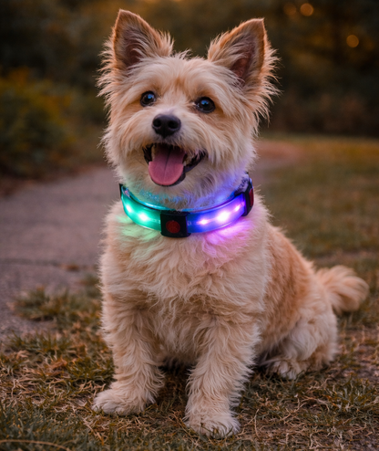 TekPaws LED Luminous Rechargeable Dog Collar