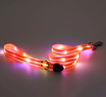 TekPaws LED Luminous Rechargeable Dog Collar