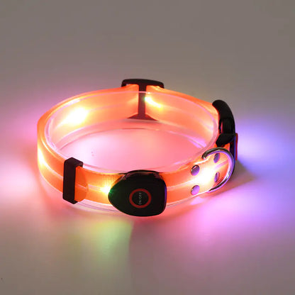 TekPaws LED Luminous Rechargeable Dog Collar