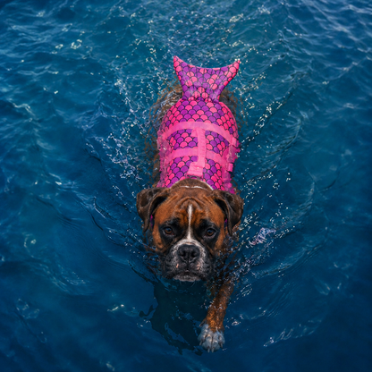 TekPaws Fintastic Adventure Swim Vest