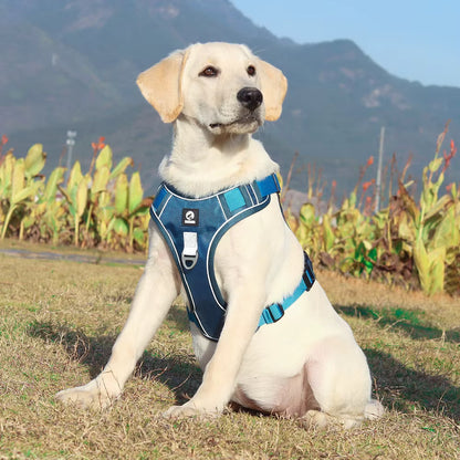 TekPaws SafeStride Reflective Harness
