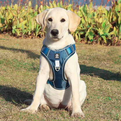 TekPaws SafeStride Reflective Harness