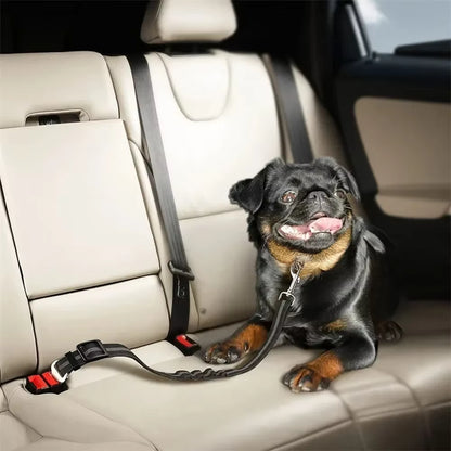 TekPaws Travel Safety Belt
