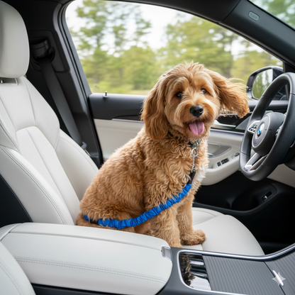 TekPaws Travel Safety Belt