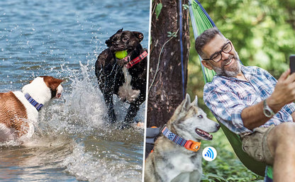 TekPaws Dog Digital Printing Collar