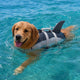 TekPaws Fintastic Adventure Swim Vest