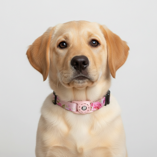 TekPaws Dog Digital Printing Collar