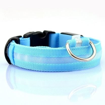 TekPaws Glow Collar