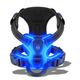 TekPaws LED Luminous Dog Harness
