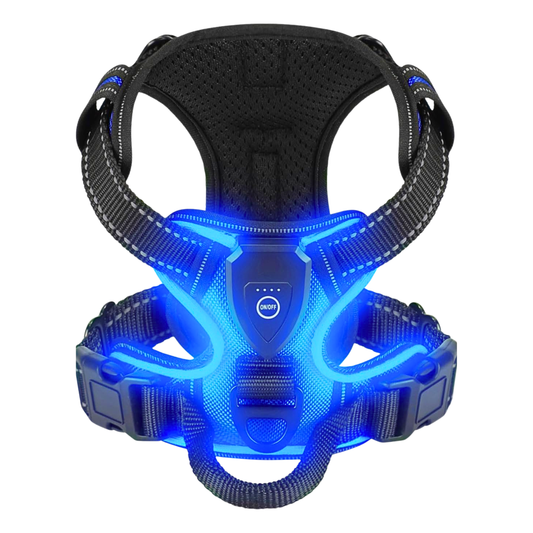 TekPaws LED Luminous Dog Harness