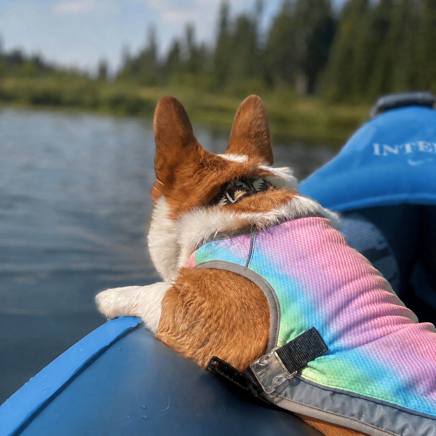 TekPaws ChillWear Cooling Vest
