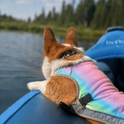 TekPaws ChillWear Cooling Vest