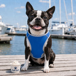 TekPaws ChillWear Cooling Vest