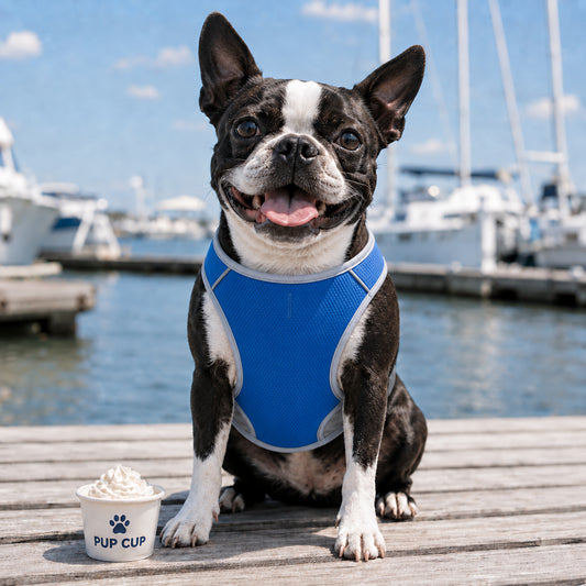 TekPaws ChillWear Cooling Vest