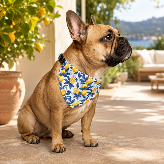 TekPaws Citrus Coast Bandana