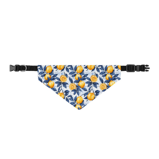 TekPaws Citrus Coast Bandana