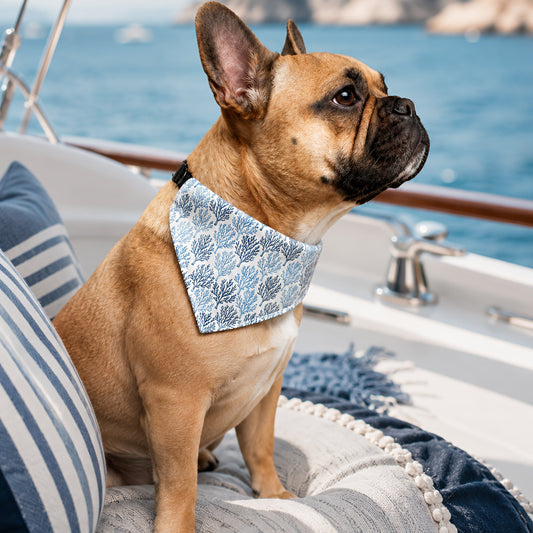 TekPaws Coastal Coral Bandana
