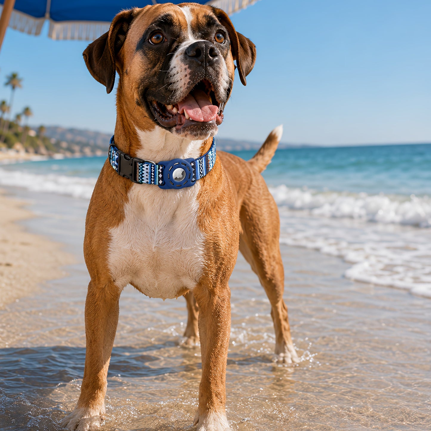 TekPaws Dog Digital Printing Collar