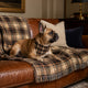 TekPaws Heritage Plaid Blanket.