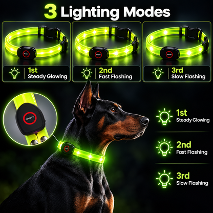 TekPaws LED Luminous Rechargeable Dog Collar
