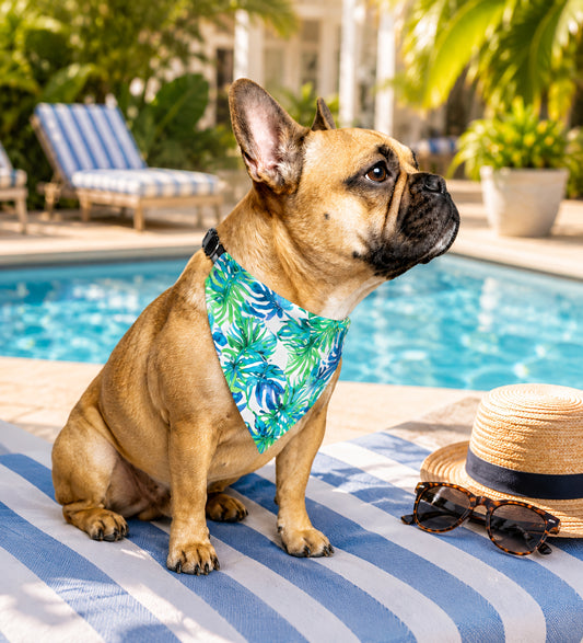 TekPaws Palm Luxe Bandana
