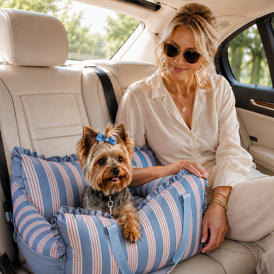 TekPaws Riviera Co-Pilot Comfort Seat