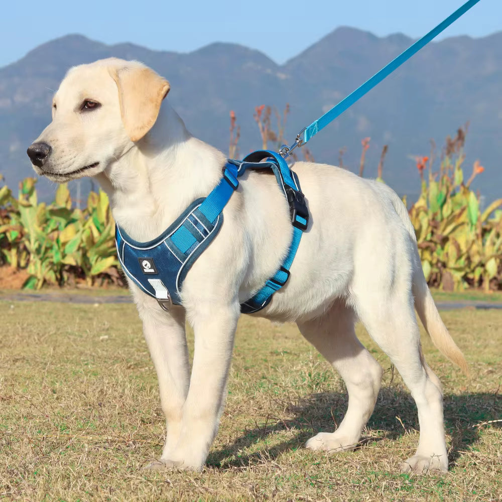 TekPaws SafeStride Reflective Harness
