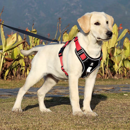 TekPaws SafeStride Reflective Harness