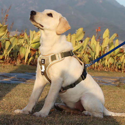 TekPaws SafeStride Reflective Harness