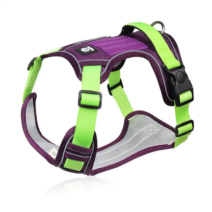 TekPaws SafeStride Reflective Harness
