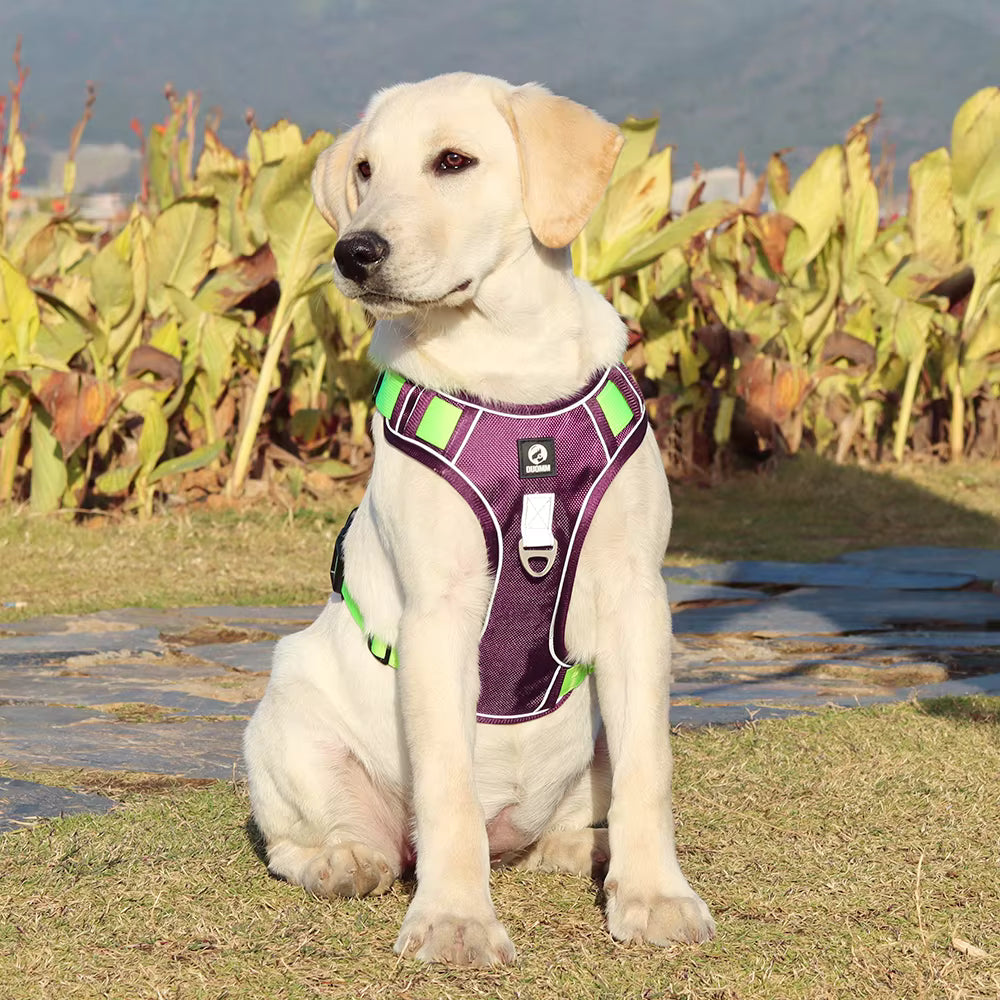 TekPaws SafeStride Reflective Harness