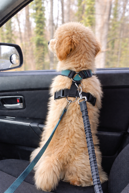 TekPaws Travel Safety Belt