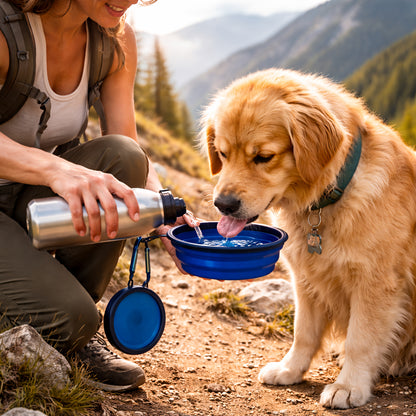 TekPaws Adventure Bowl