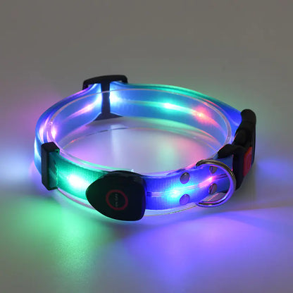 TekPaws LED Luminous Rechargeable Dog Collar