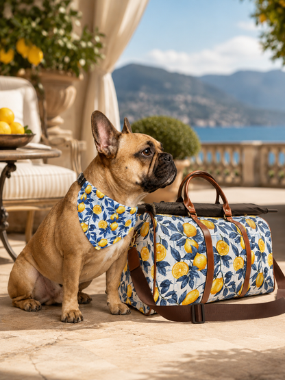 TekPaws Citrus Coast Bandana